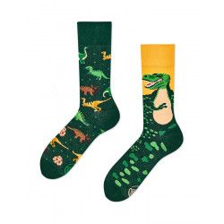 Chaussettes The Dinosaurs - Bibop et Lula