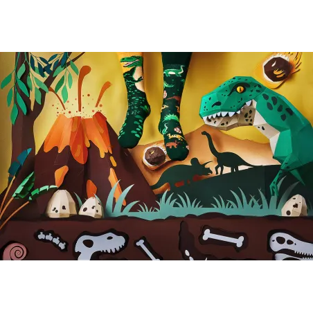 Chaussettes The Dinosaurs