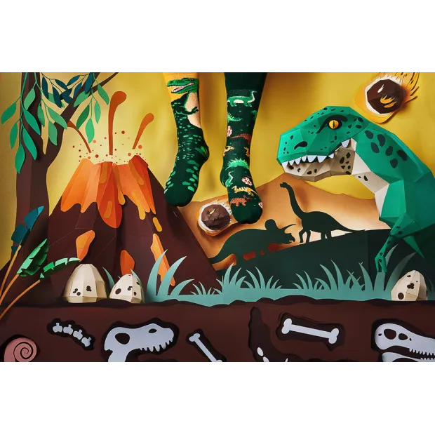 Chaussettes The Dinosaurs