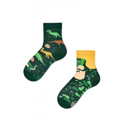 Chaussettes The Dinosaurs - Bibop et Lula