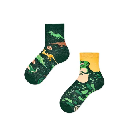 Chaussettes  The Dinosaurs