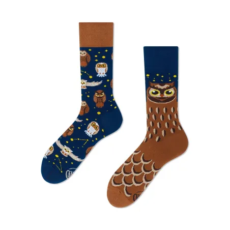 Chaussettes Owly Moly