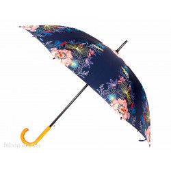 Parapluie Poésie - Bibop et Lula