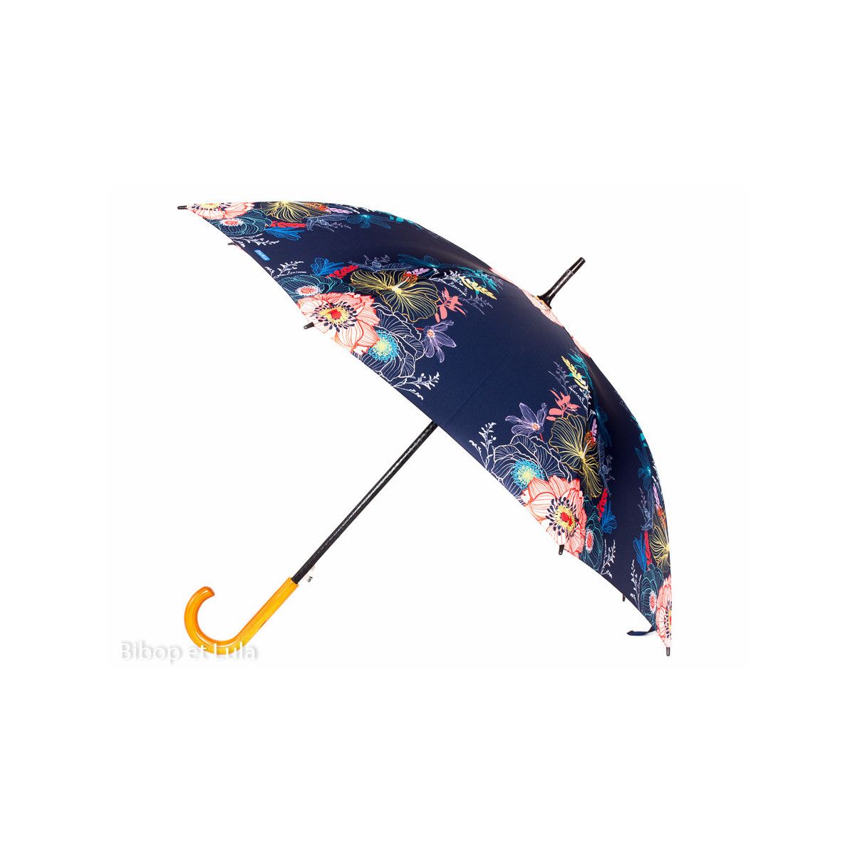 Parapluie Poésie - Bibop et Lula