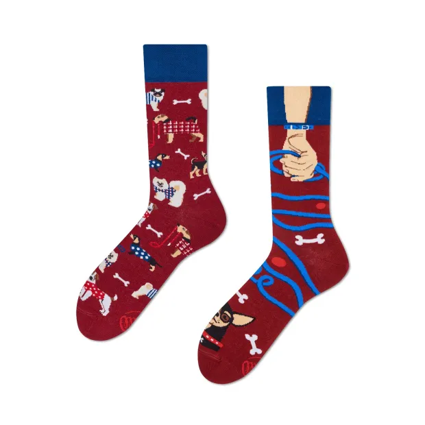 Chaussettes Walkie doggy