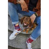 Chaussettes Walkie doggy - Bibop et Lula