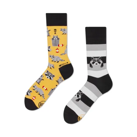 Chaussettes Raccoon Bandit
