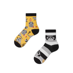 Chaussettes raton laveur - Bibop et Lula