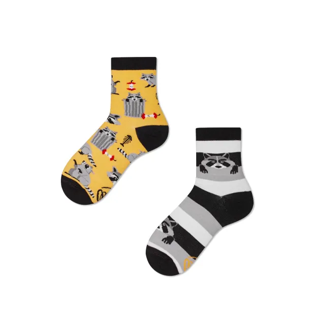 Chaussettes raton laveur
