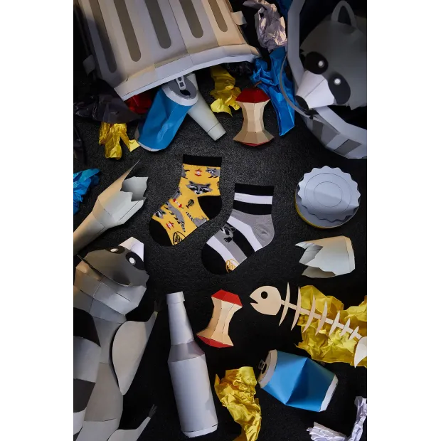 Chaussettes raton laveur